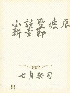 小说圣墟辰东最新章节