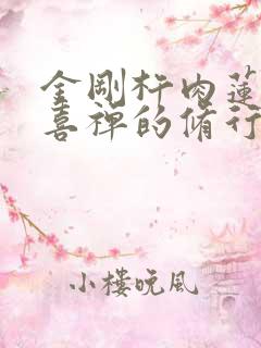 金刚杵肉莲花欢喜禅的修行方法