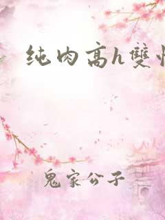 纯肉高h双性文