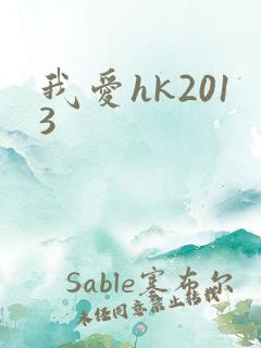 我爱hk2013