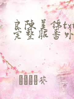 良陈美锦txt完整版番外