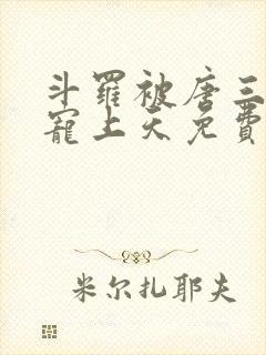 斗罗被唐三哥哥宠上天免费阅读