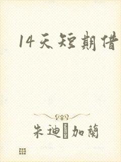 14天短期借款