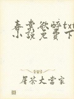 春棠欲醉txt小说免费下载