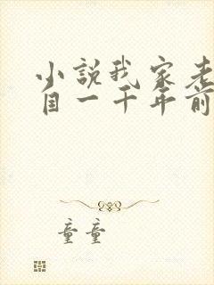 小说我家老婆来自一千年前全文免费阅读