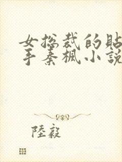 女总裁的贴身高手秦枫小说全文免费阅读