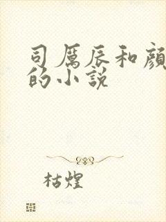 司厉辰和颜辞兮的小说