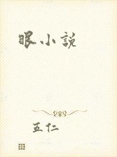 眼小说