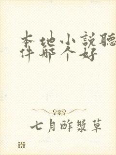 本地小说听书软件哪个好