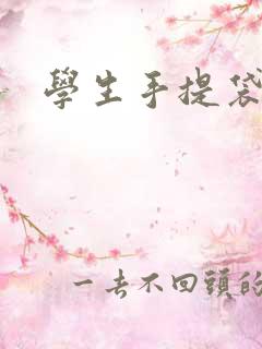 学生手提袋推荐