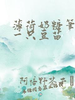 薄荷奶糖笔趣阁一只豆苗