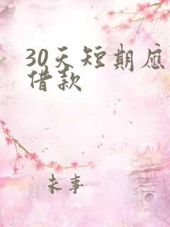 30天短期应急借款