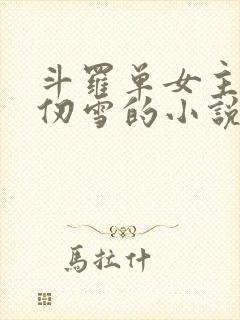 斗罗单女主是千仞雪的小说