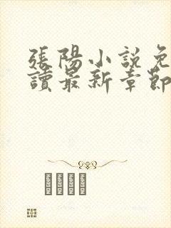 张阳小说免费阅读最新章节