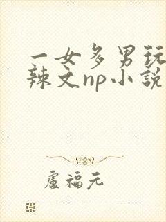 一女多男玩弄h辣文np小说