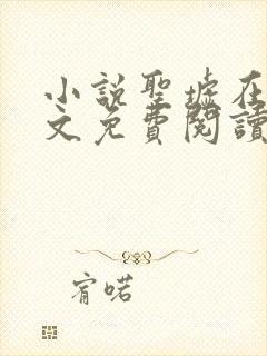 小说圣墟在线全文免费阅读