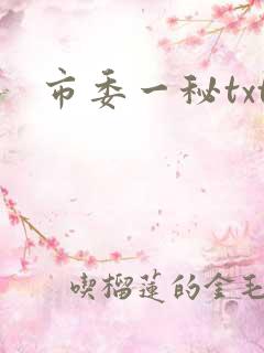 市委一秘txt