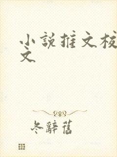 小说推文校园甜文