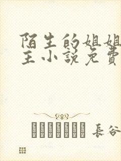 陌生的姐姐双女主小说免费阅读