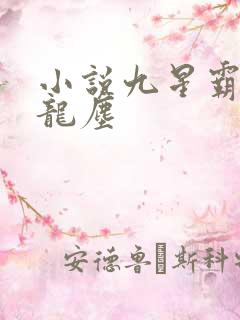 小说九星霸体诀龙尘