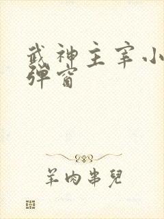 武神主宰小说无弹窗