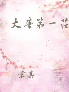 大唐第一庄