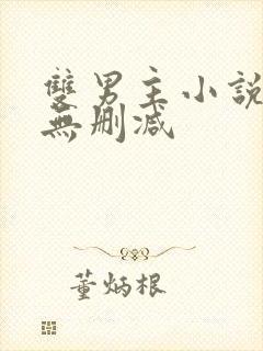 双男主小说推荐无删减