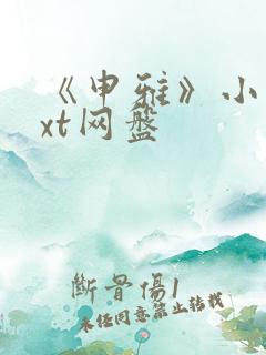 《申雅》小说txt网盘