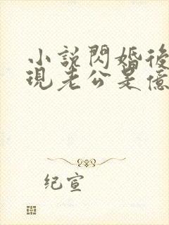 小说闪婚后,发现老公是亿万总裁免费阅读