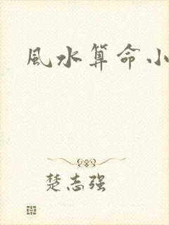 风水算命小说