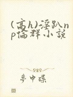 (高h)淫趴np伦群小说