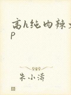 高h纯肉辣文np
