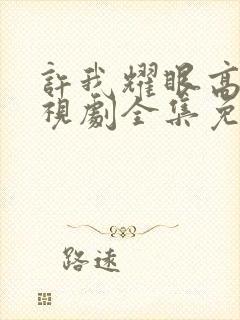 许我耀眼高清电视剧全集免费观看