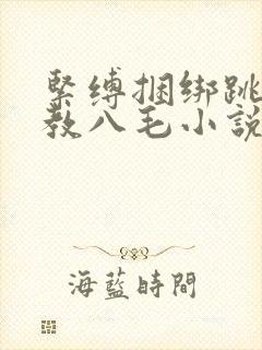 紧缚捆绑跳蛋调教八毛小说