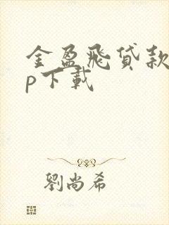 金盈飞贷款app下载