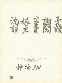 沈婉宁谢青晏小说免费阅读最新章节