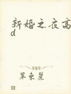 新婚之夜高潮hd