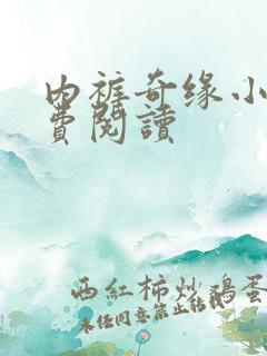 内裤奇缘小说免费阅读