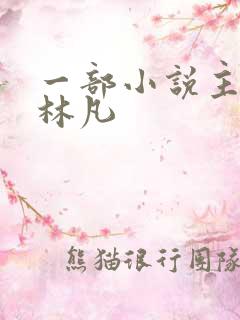 一部小说主角叫林凡