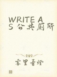 WRITE AS 公共厕所