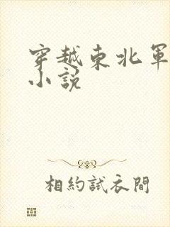 穿越东北军阀的小说