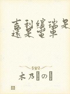 吉利缤瑞是油车还是电车