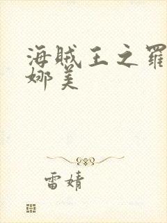 海贼王之罗宾h娜美