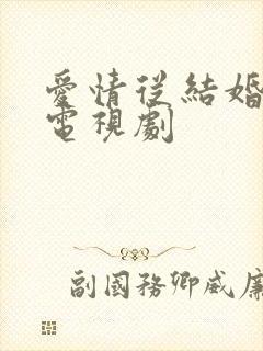 爱情从结婚开始电视剧