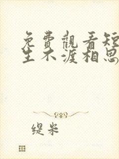 免费观看短剧三生不渡相思苦