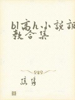 bl高h小说调教合集