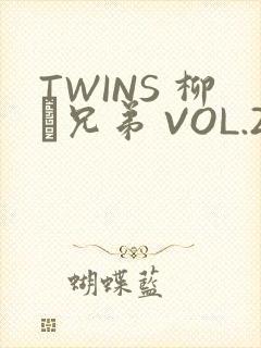 TWINS 柳澤兄弟 VOL.2