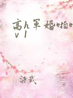 高h军婚啪啪1ⅴ1