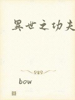 异世之功夫之王