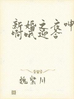 新婚之夜呻吟嗯啊哦迎合